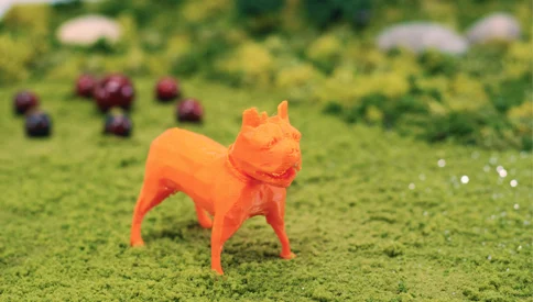French Bulldog