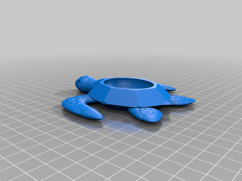 Sea Turtle Dish