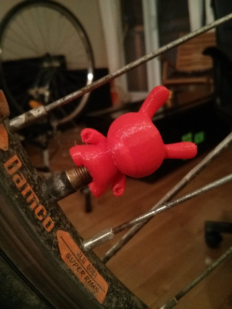 Dunny valve cap