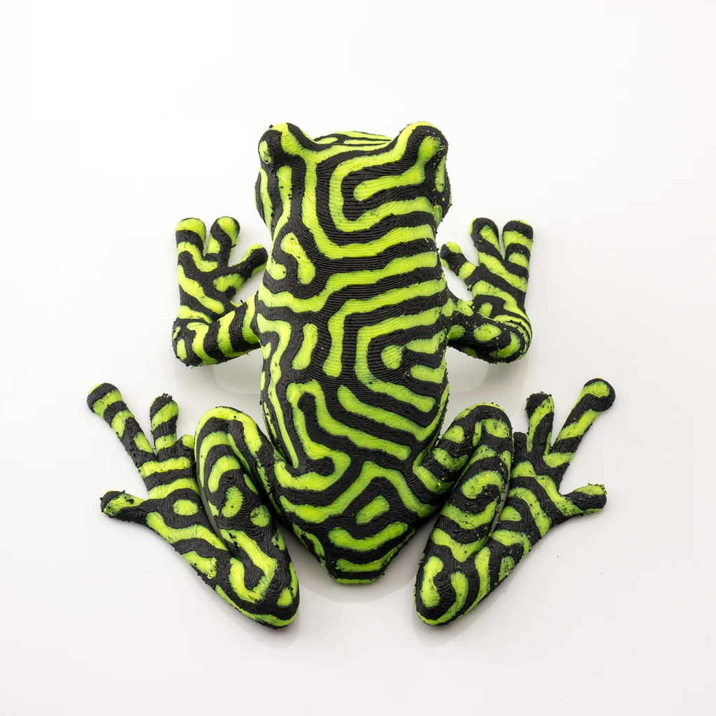 2-color tree frog