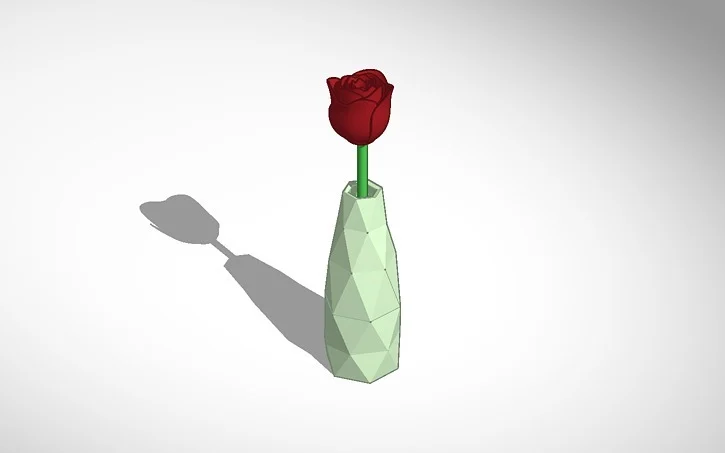 rose in a vase