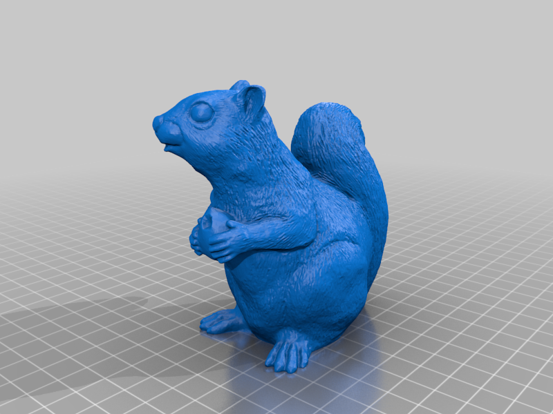 Squirrel