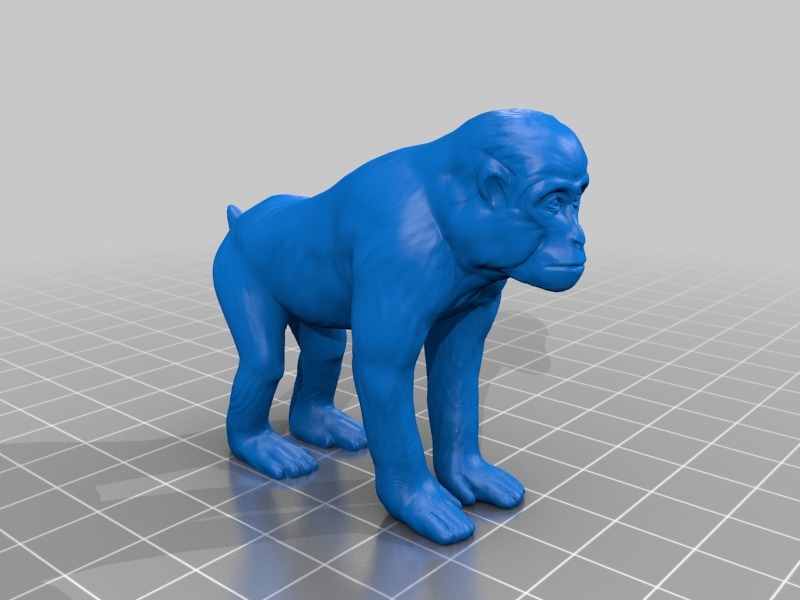 猿（Monkey）3Dデータ