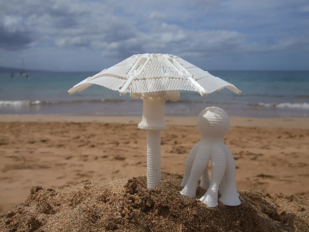 Umbrella / Parasol