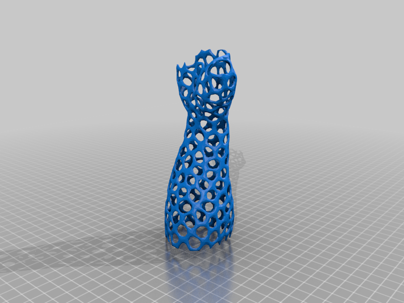 Voronoi Arm Cast