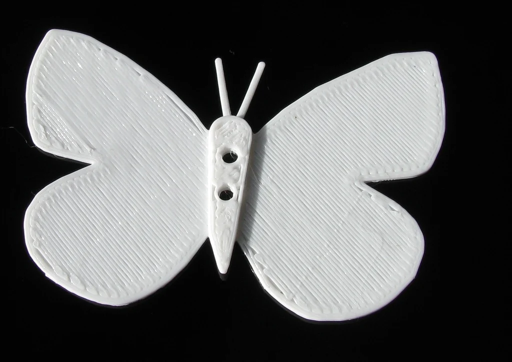 Slim Cabbage Moth