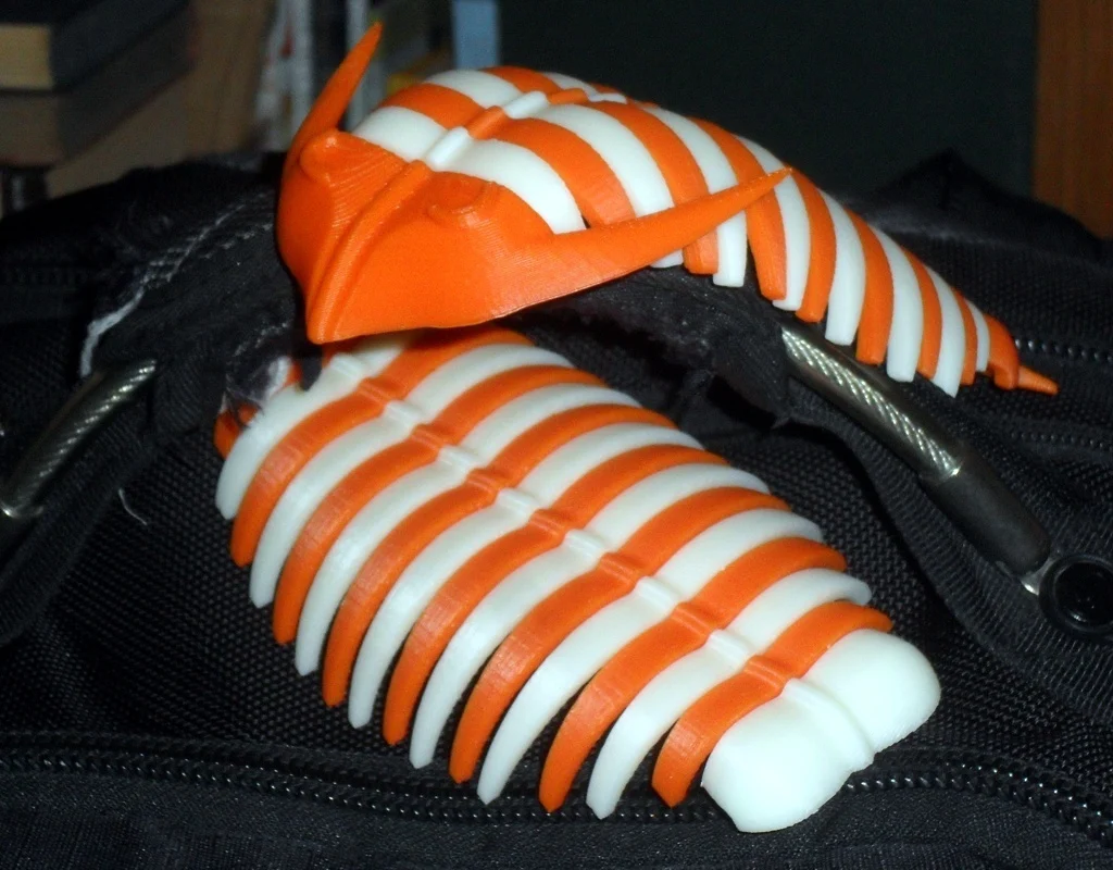 Trilobite articulatum