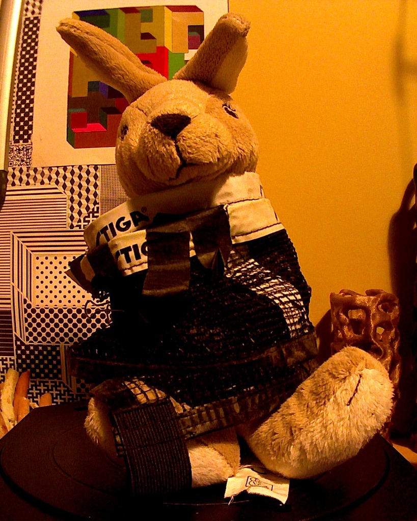Bunny Darko