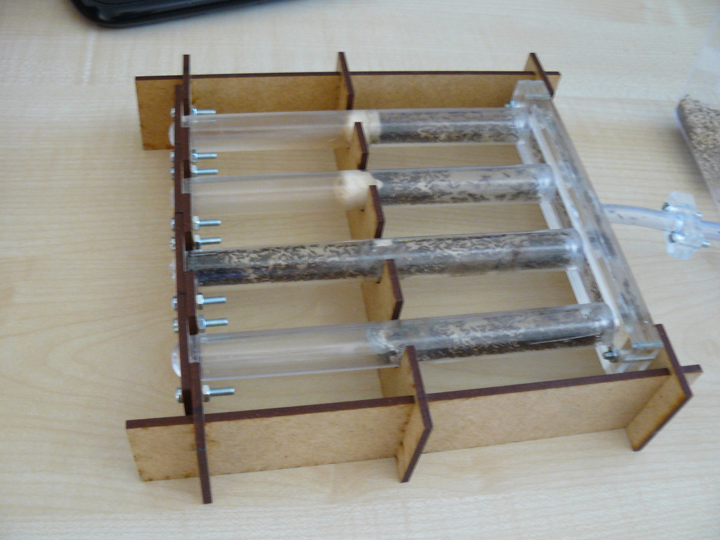 Test tube ant-farm V1