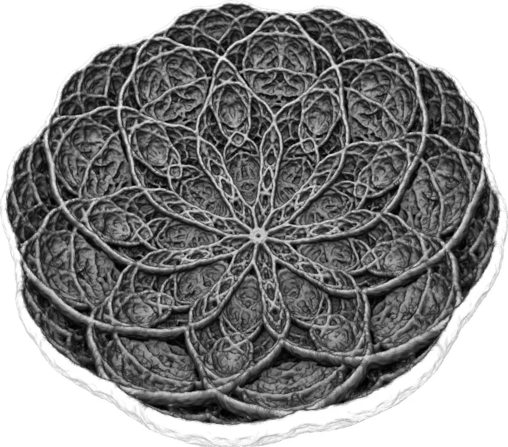 Fractal Hyper Bowl 5
