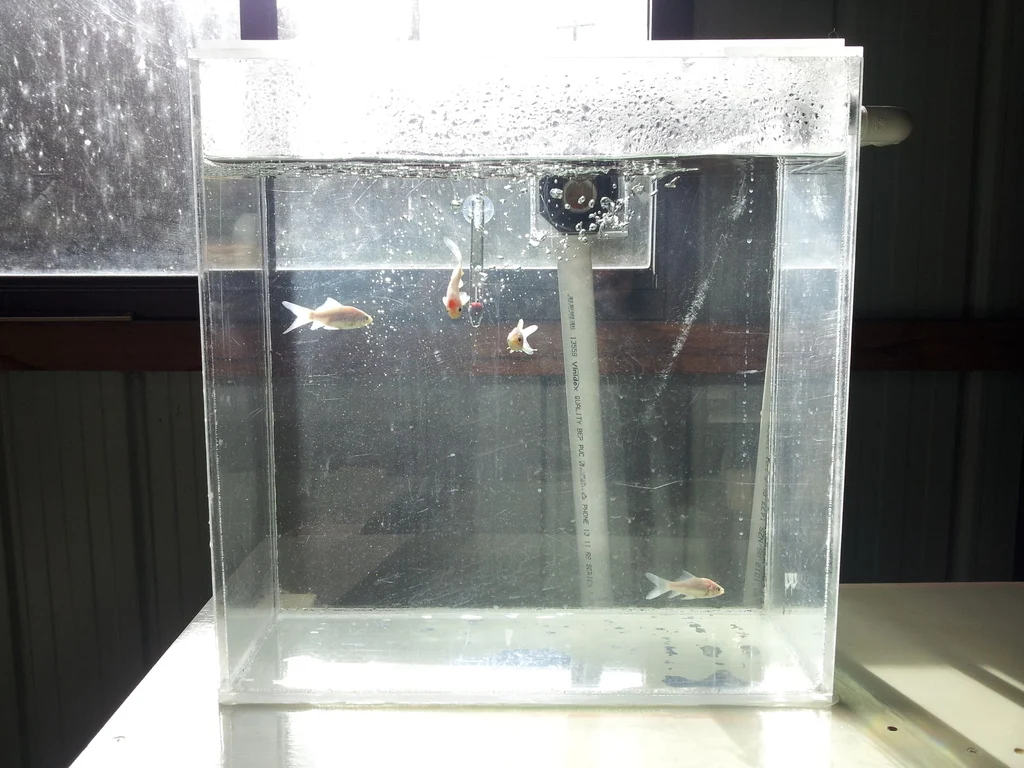 35L Fish Tank