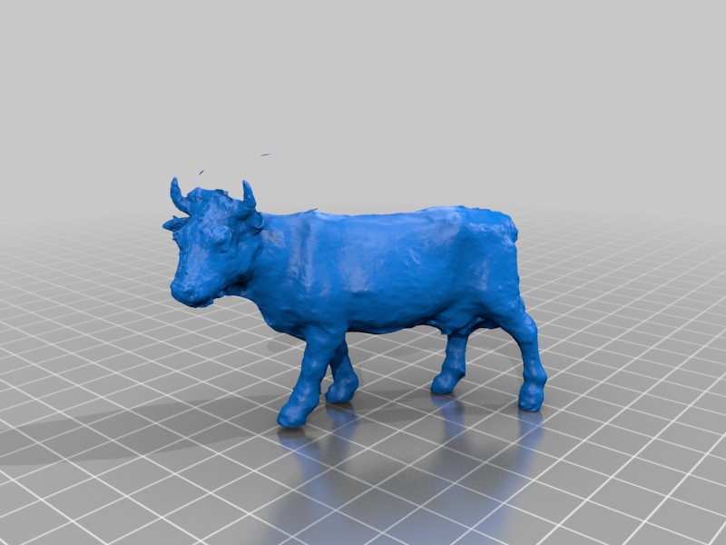 Dairy cow
