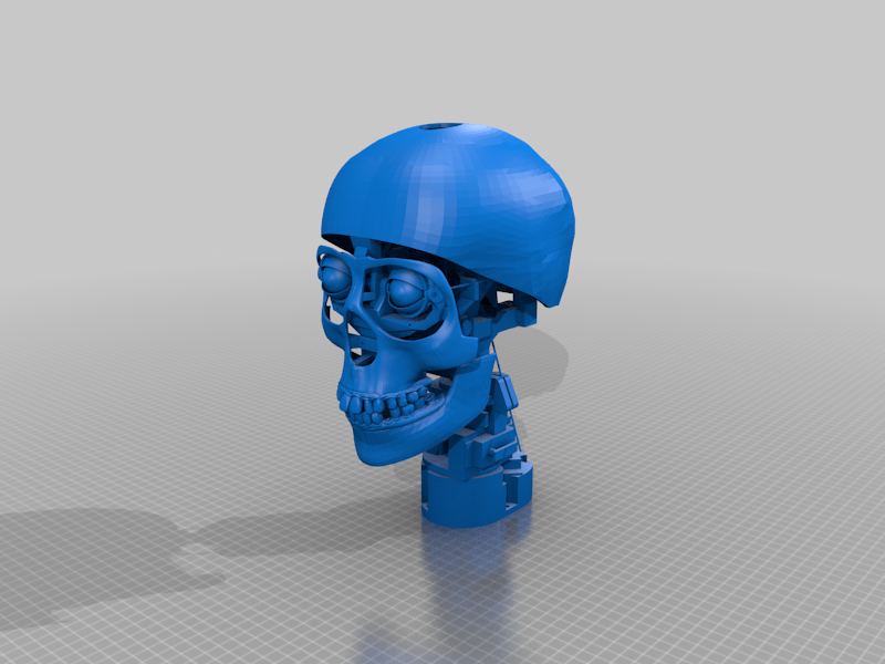Animatronic Skull