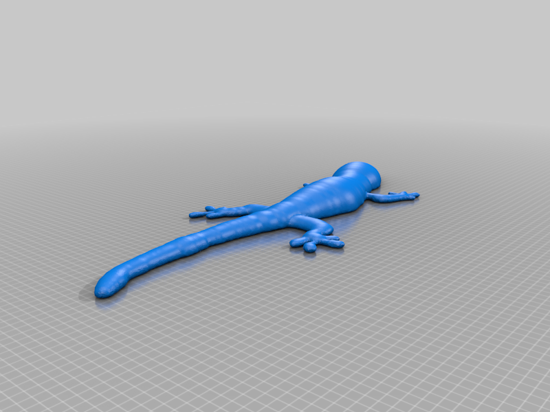 Gecko