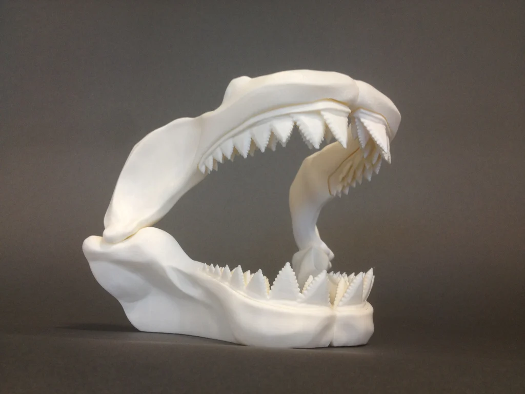 Great White Skull