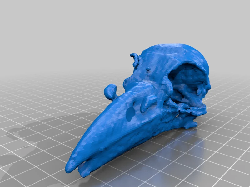 Raven Skull -BC8130