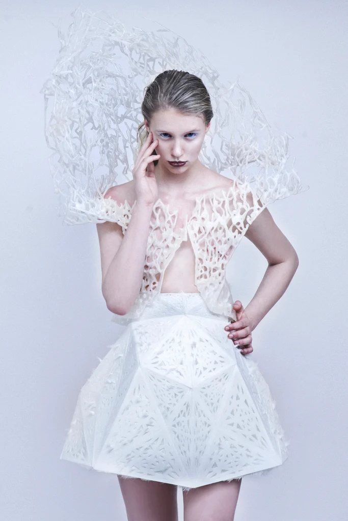 The Bristle Dress