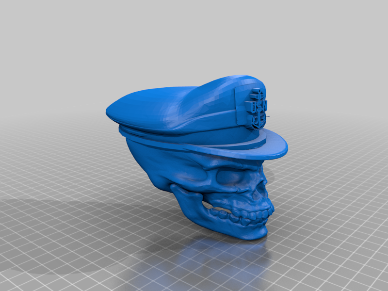 Chief Petty Officer Skull