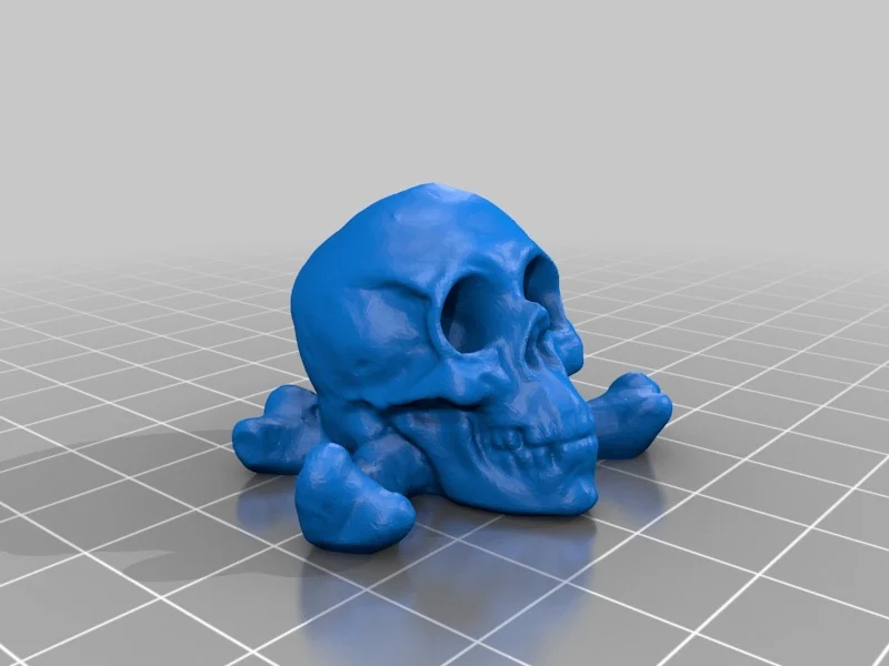 Skull & bones Keychains