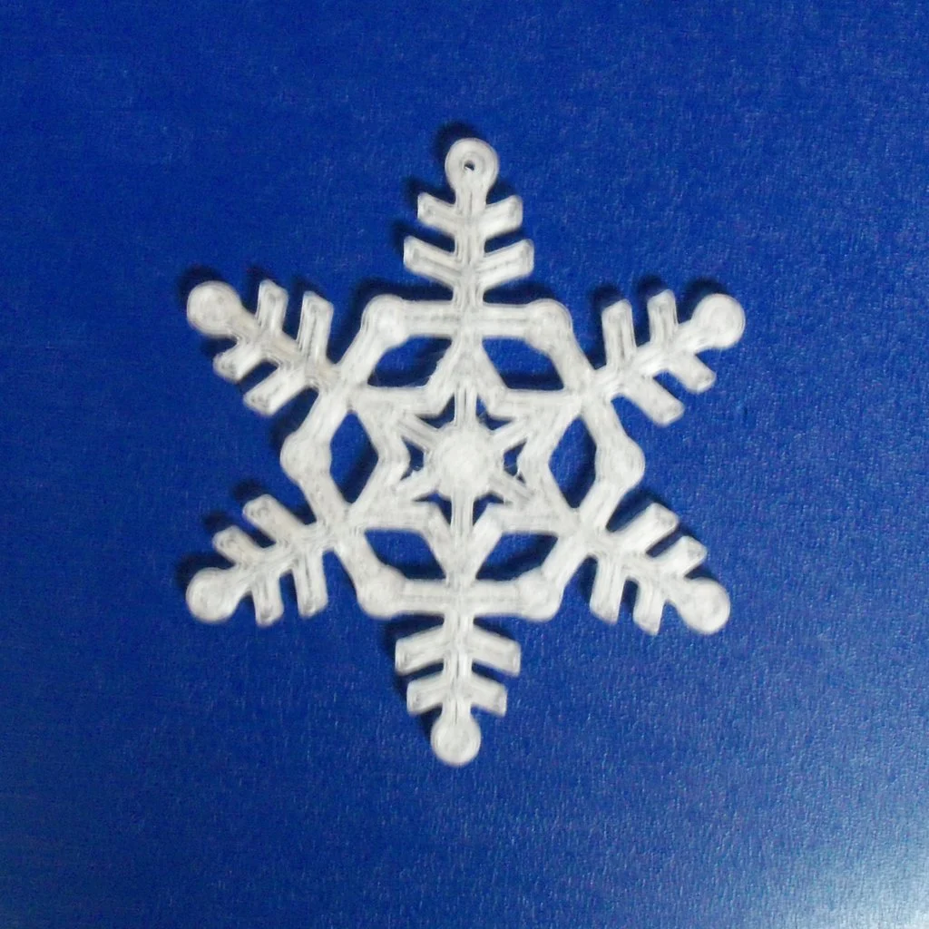 Snow Flake 024