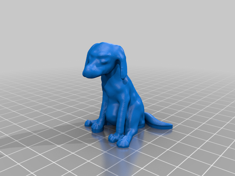 Sad dog