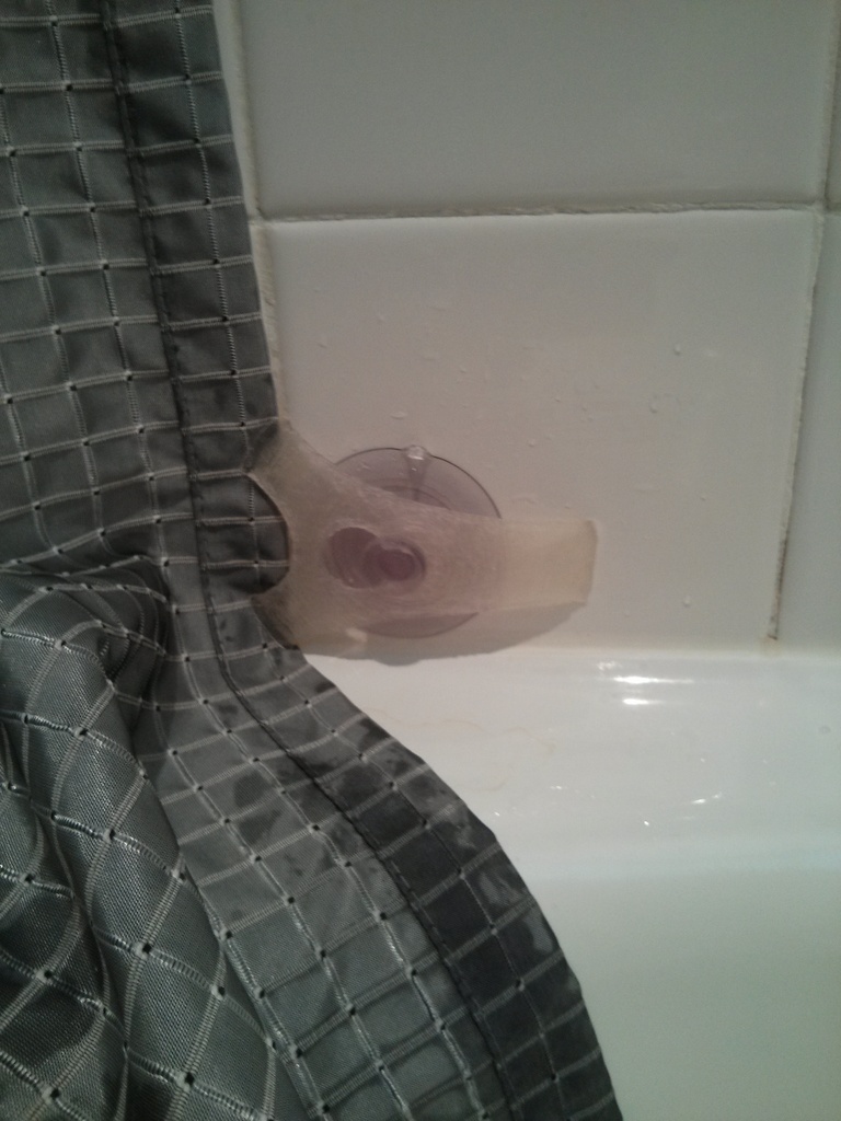 Shower curtain clip