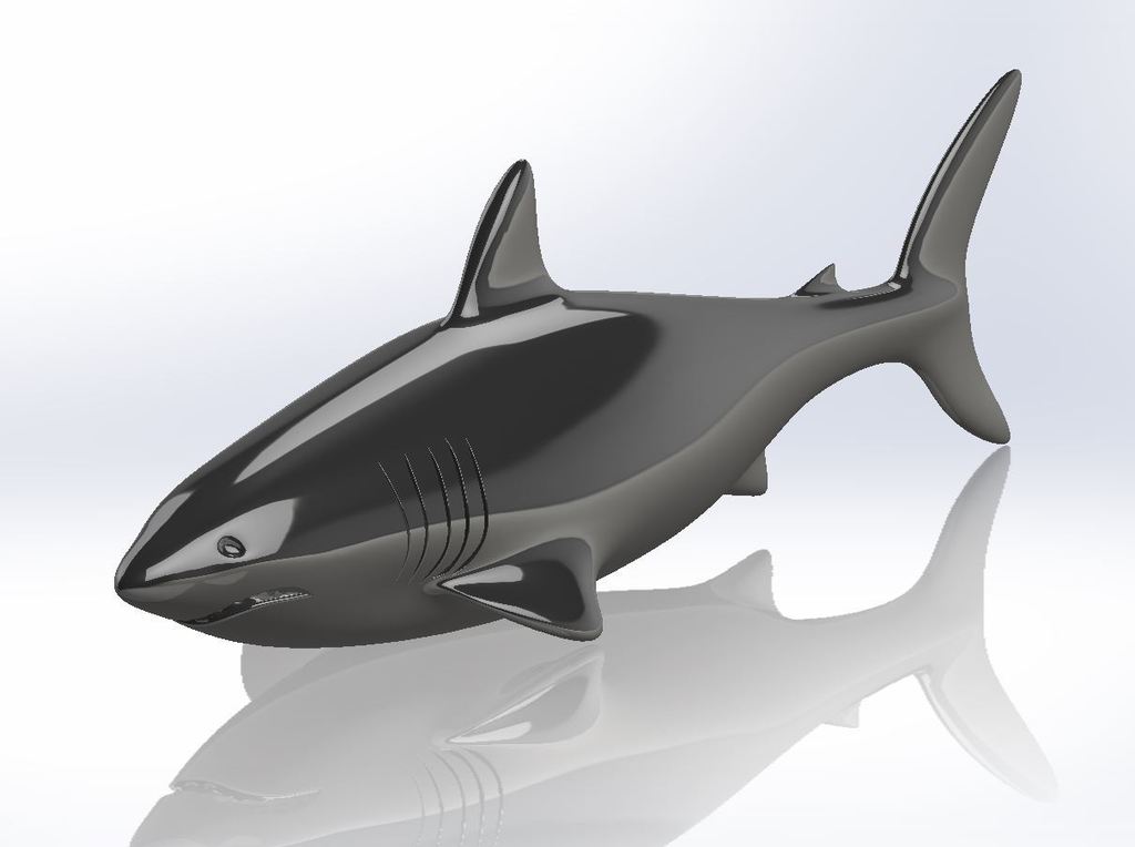 Shark!