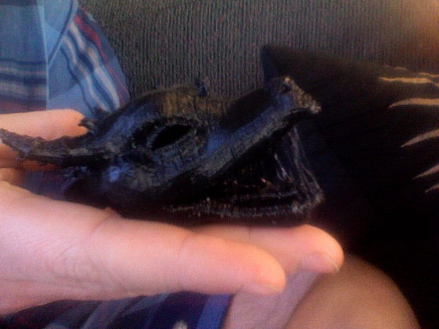 Dragon Head