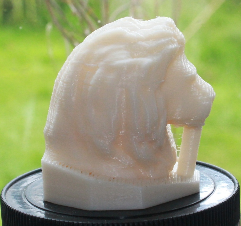 Lion head