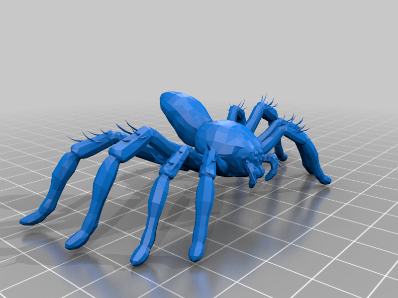 Burrow Spider
