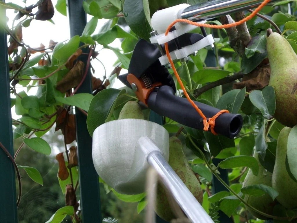 Fruit picker