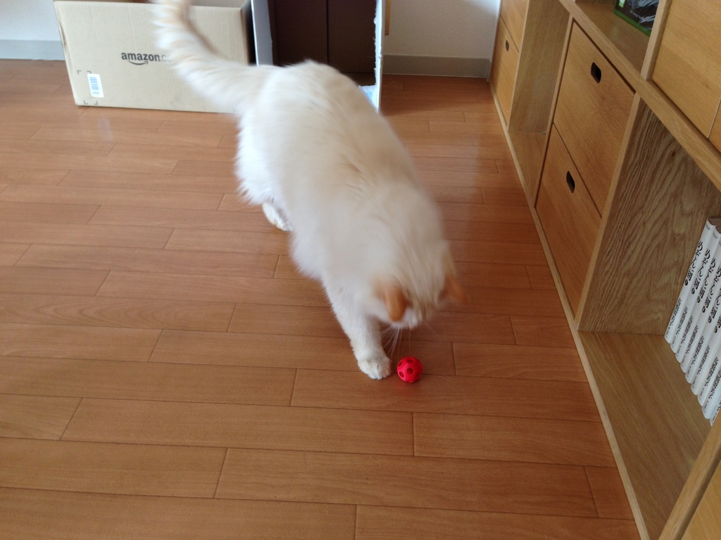 Bell Ball