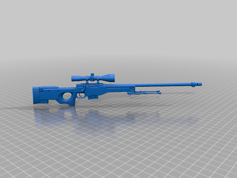 CSGO awp