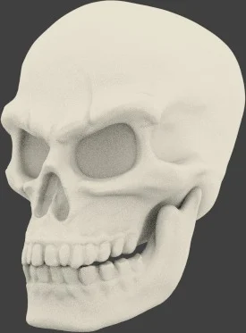 Pirate Skull