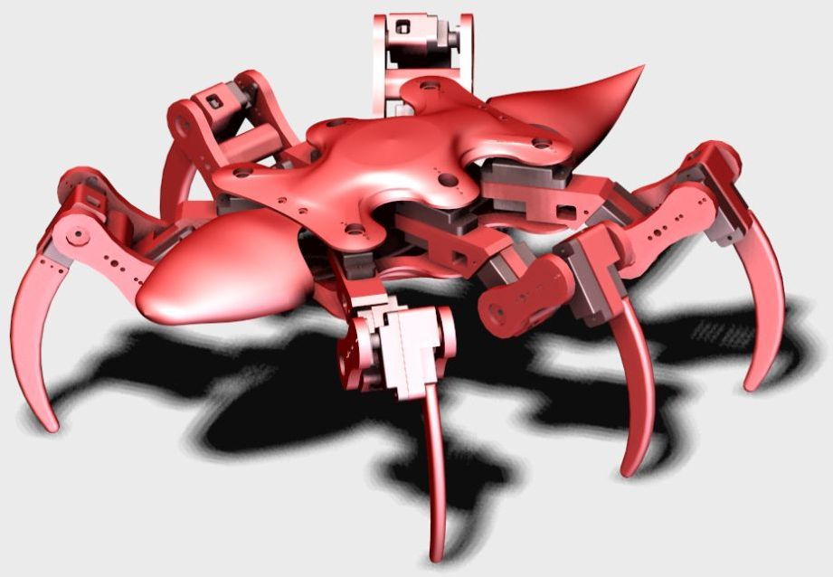 Hexapod Ant