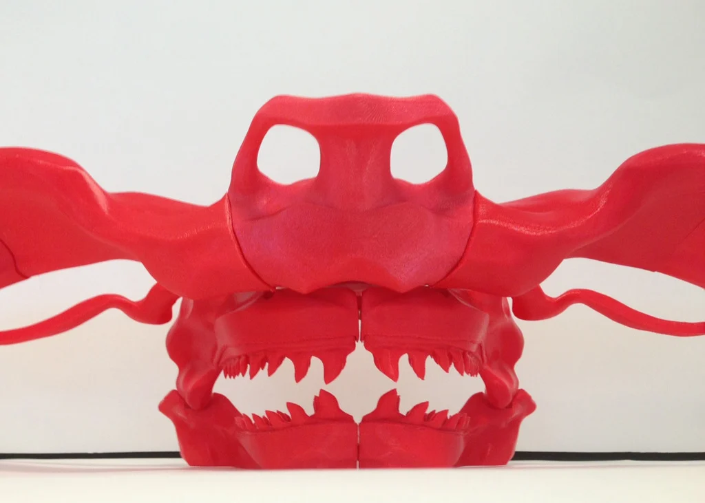 Hammerhead Skull