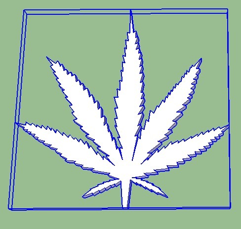Cannabis Sativa leaf