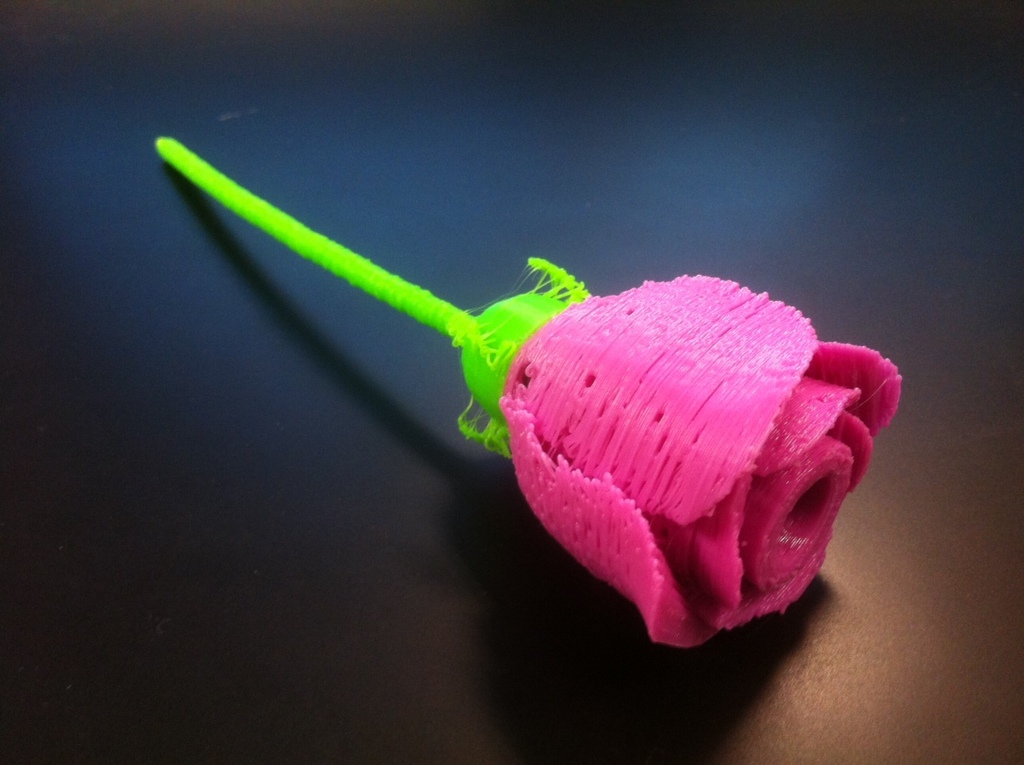 Rose Flower