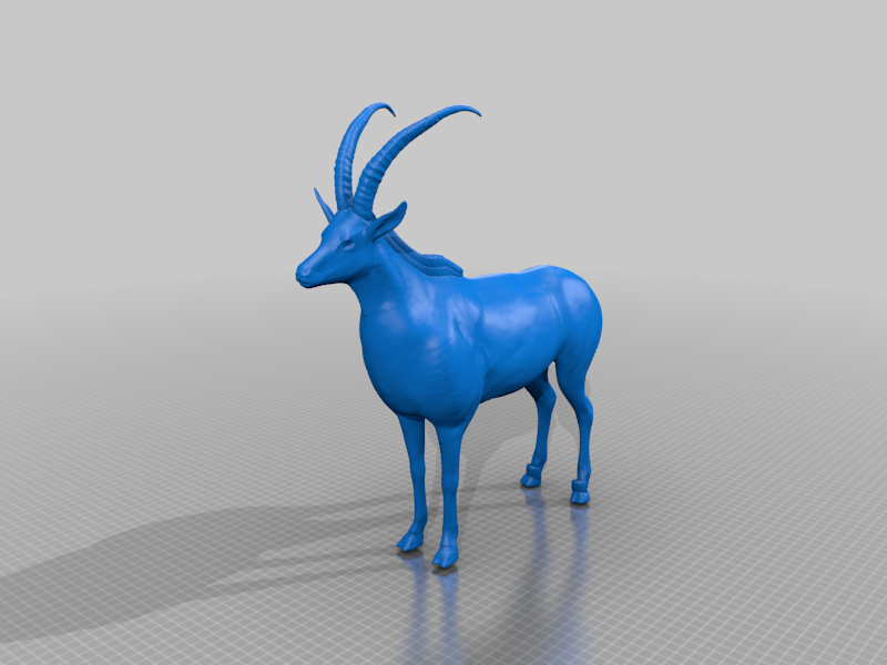 Giant Antilope Palanca Negra