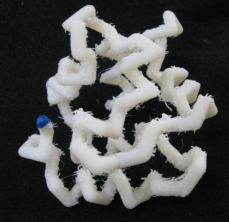 Protein Models
