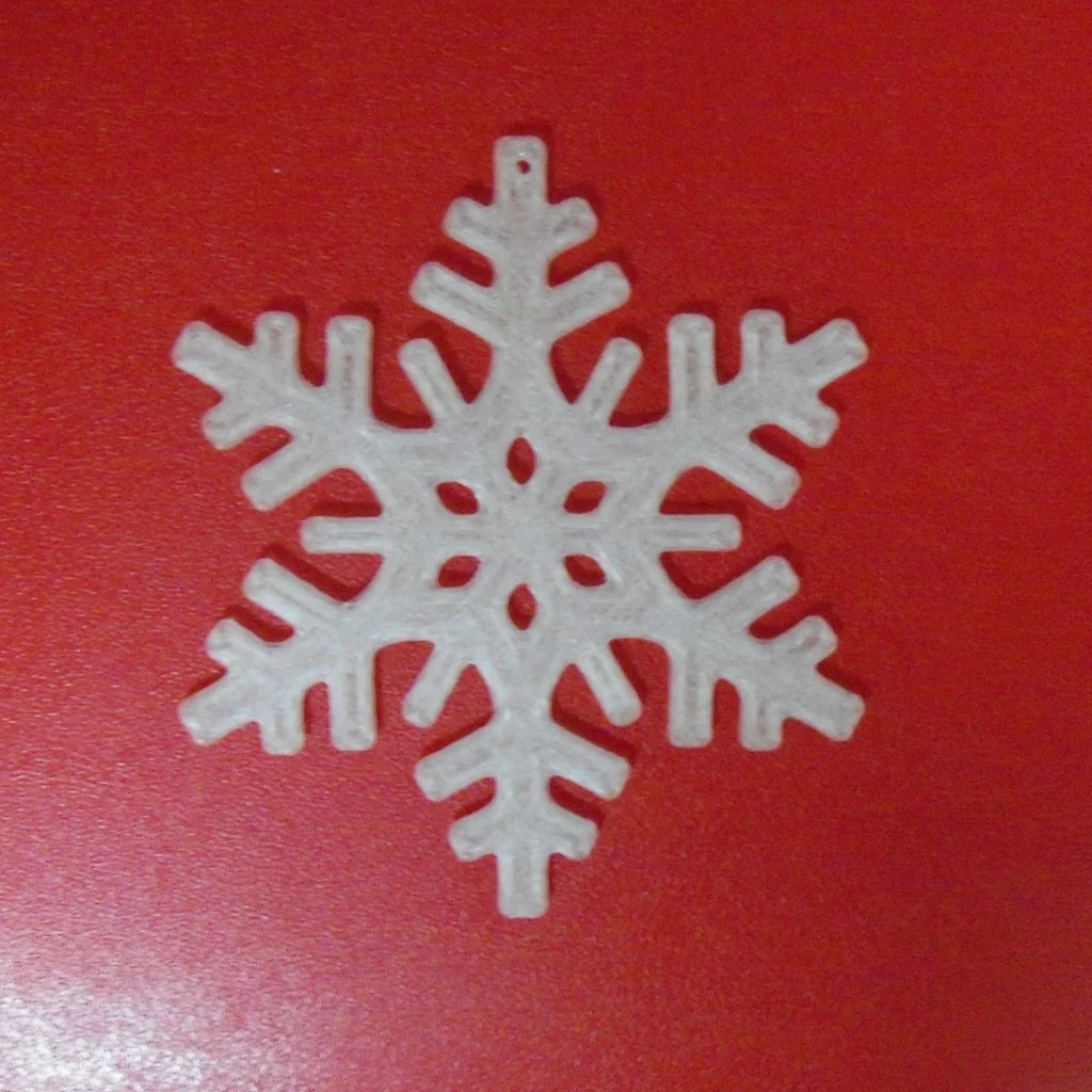 Snow Flake 021