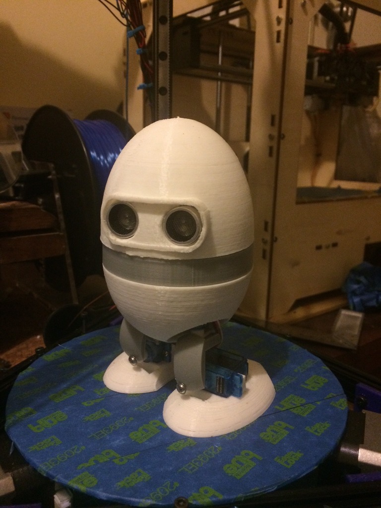 Dizzy the 5DOF Biped Robot