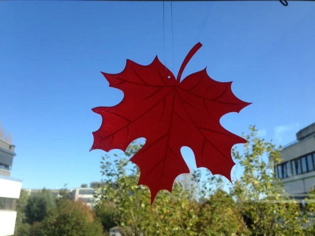 Maple_Leaf