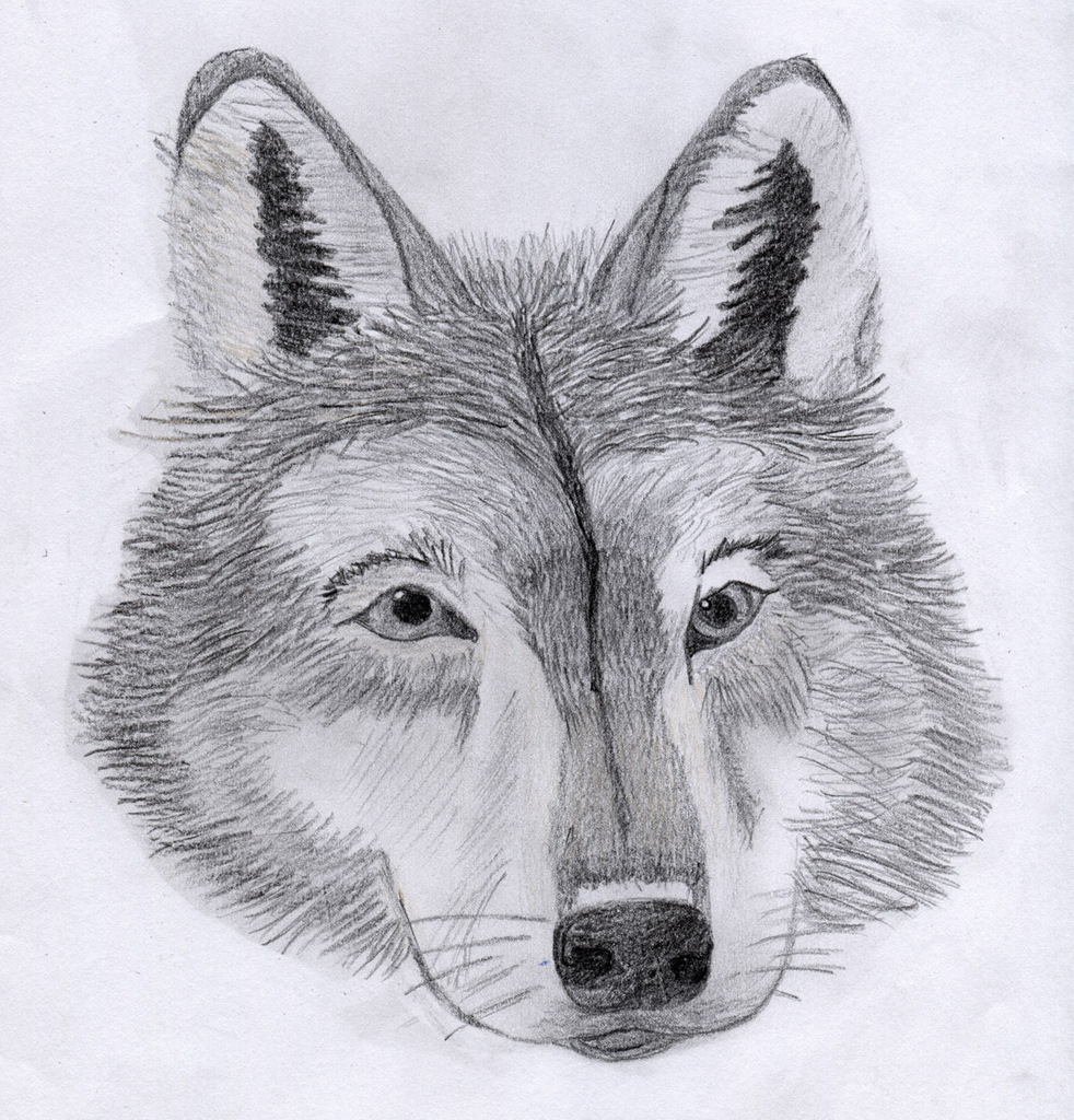 Marie's Wolf