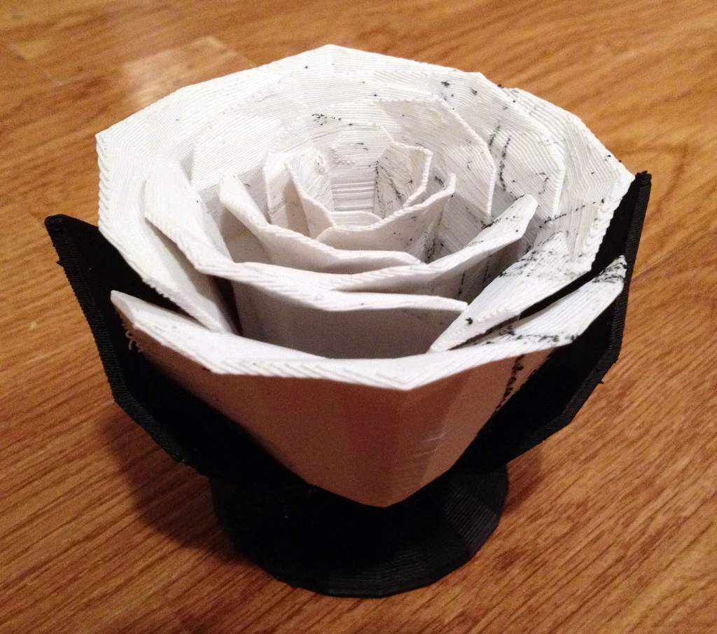 Jillian's Rose
