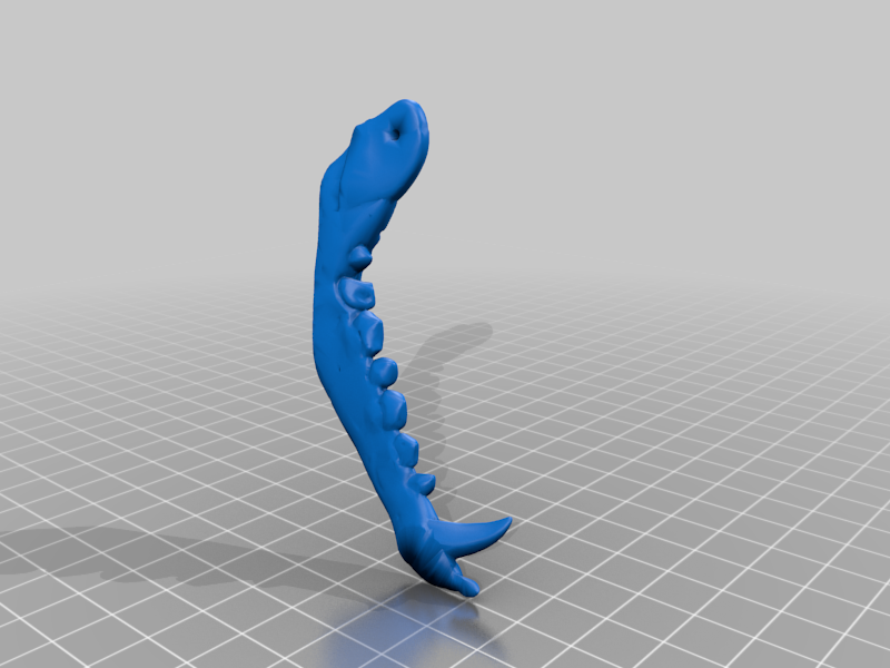 Solas' wolf jawbone necklace