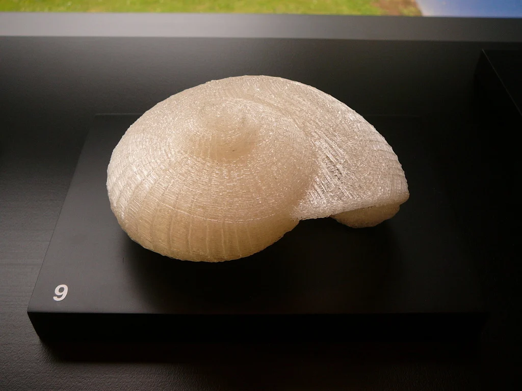 Giant snail shell