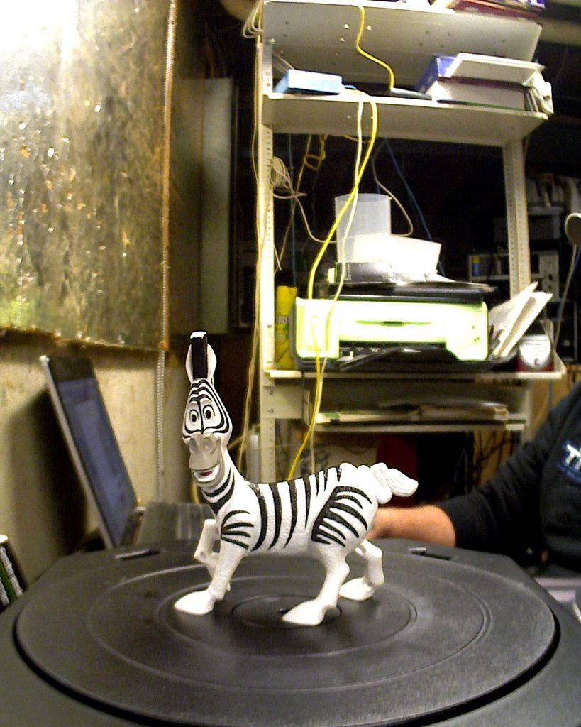 Madagascar Zebra