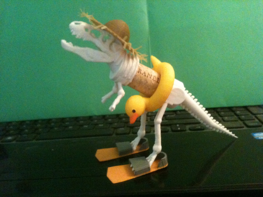 Beachwear for C. Rex