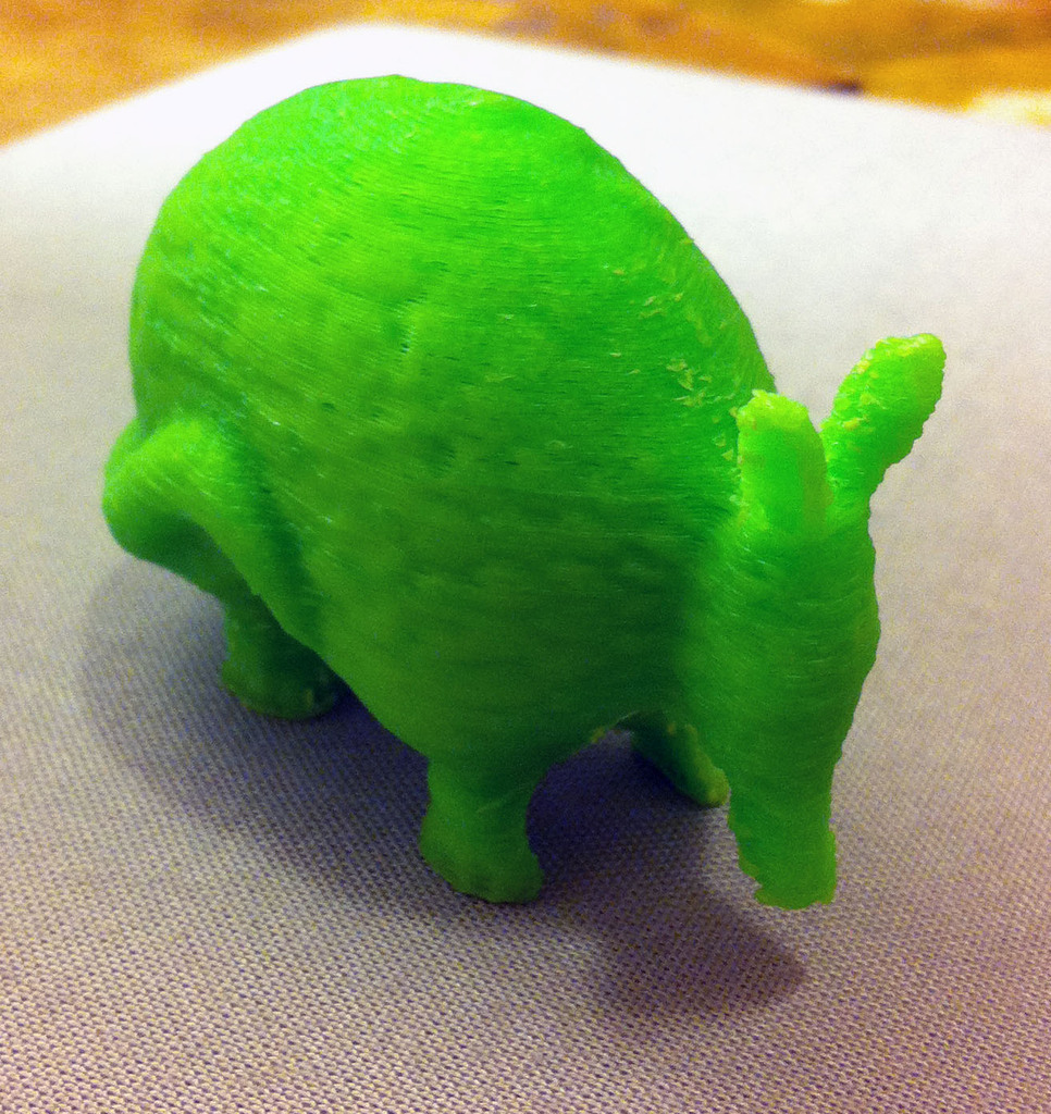 Armadillo From Amarillo